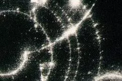 particle theory cropped